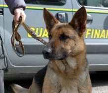 Venti chili di eroina su camion: blitz della Finanza, due in carcere