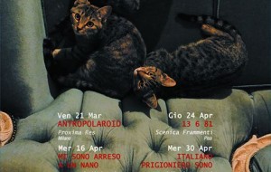 Giovedì 24 “13 6 81” continua la rassegna Alle Otto e trentacinque circa