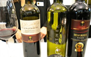 Vinitaly 2014: Cantine Due Palme, presente!