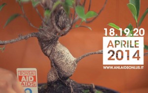 Torna l’appuntamento con Bonsai Aid Aids