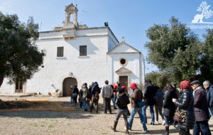 Il Consiglio regionale approva modifiche alla legge sul turismo rurale