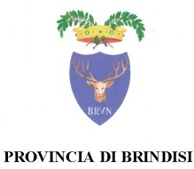 Dieci sindaci a sostegno della candidatura di Angelo Pomes alla Presidenza della Provincia