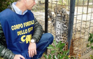 Sequestrato capannone costruito abusivamente