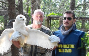 Sequestrati animali esotici