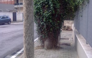 La denuncia: degrado Via Materdomini, non è cambiato nulla. Le foto
