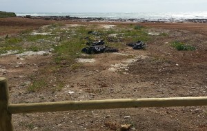 Fanghi da pozzo abbandonati a Punta del Serrone