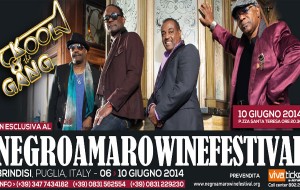 Negroamaro Wine Festival: ecco il calendario degli eventi