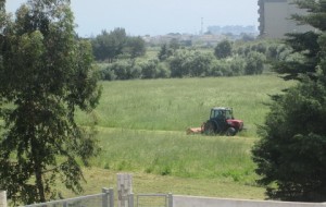 Monteco e Multiservizi a lavoro al Rione Paradiso