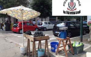 Sequestrati e reimmessi in mare 20 Kg di mitili