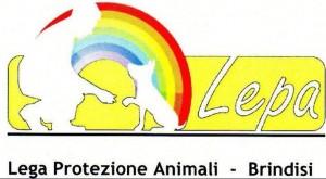 Lepa: “attenzione alle false richieste di fondi avanzate su facebook”