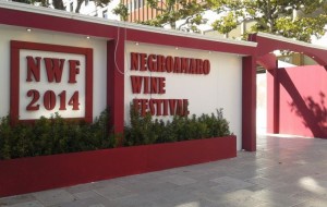 Negroamaro Wine Festival: il programma di oggi