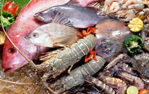 Controlli su pesce e cozze: 5 denunce e sequestri di medicinali e antibiotici