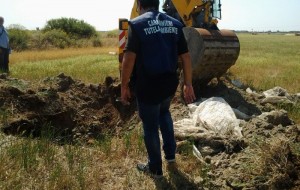 Scorie tra gli ulivi: proseguono indagini e ricerche
