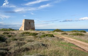 Millenari di Puglia: venerdì 4 escursione notturna a Torre Pozzelle