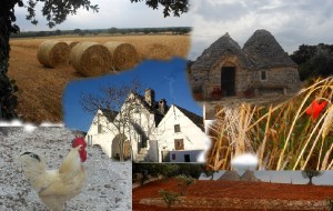 Metti un soltizio d’estate in cerca di vetusti trulli e di lamie affascinate