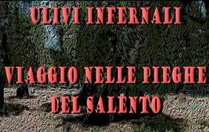 Ulivi infernali: il trailer del documentario sulla nuova Scu