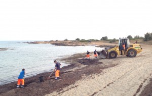 Avviate le operazioni di rimozione della posidonia