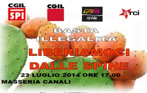 Parte la vendemmia sui campi confiscati alla mafia