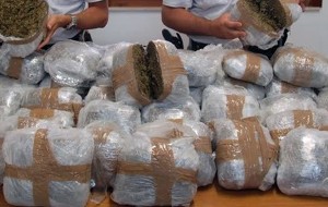 In auto con 53 Kg di marijuana: due arresti a Cerano