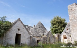 Millenari di Puglia: gli appuntamenti del prossimo weekend