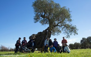 Millenari di Puglia: gli appuntamenti del prossimo weekend