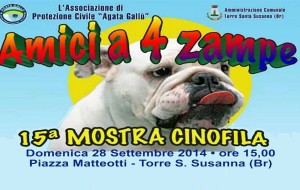 Domenica a Torre S. Susanna la XV Mostra cinofila “Amici a quattro zampe”