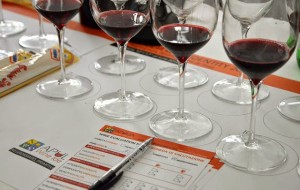 Brindisi torna capitale del vino: dall’1 Ottobre c’è l’Apulia Wine Identity 2014