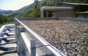 Impianto di compostaggio Erchie: Santorsola risponde a Bozzetti