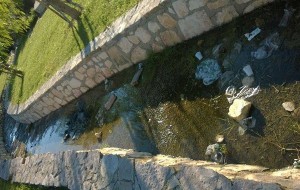 Degrado nel Parco Di Giulio… e un gruppo di volontari raccoglie i rifiuti