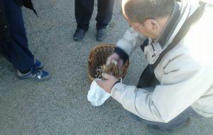 Il 7 Febbraio parte il corso di formazione per raccoglitori di funghi a cura del Centro di controllo micologico