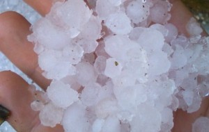 Incredibile grandinata a Fasano: situazione sotto controllo ma l’agricoltura è in ginocchio