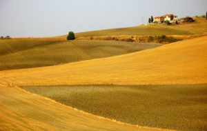 Venerdì 29 a Cisternino tavola rotonda sul valore dell’agro-biodiversità