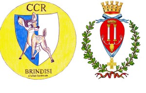 Domani a Brindisi il Consiglio Comunale dei Ragazzi