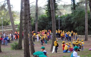 Ceglie: dalla regione 98mila euro per la Pineta Ulmo