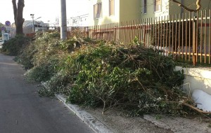 Potano rami e frasche e li lasciano sul marciapiede: pericolo per i pedoni al Rione Casale
