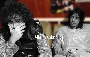 Il Circo della Farfalla: sabato 21 spazio al rock dei MinimAnimalist!