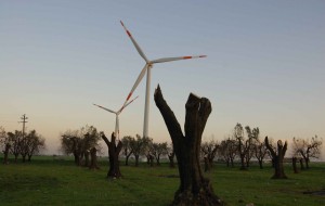 Sequestrato parco eolico di Enel Green Power in costruzione a San Vito