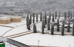 La Provincia di Brindisi sotto la neve: disagi contenuti. Le foto sui social network