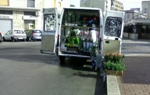 Controlli e multe ai venditori ambulanti di fiori
