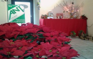Apre il charity shop della Fondazione Ant