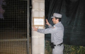Canile abusivo: denunciate tre persone