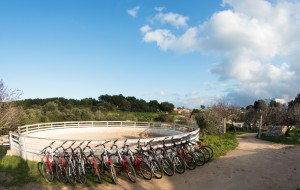 Millenari di Puglia: le escursioni del prossimo weekend