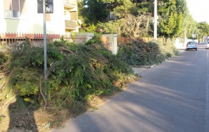 Scarti di potatura sui marciapiedi: interviene la Polizia Municipale