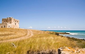 Torre Guaceto, sei consiglieri contro il Sindaco Brandi: “prima prende decisioni poi apre al dialogo”