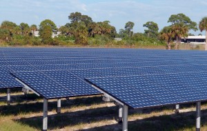 Bando Agrivoltaico: finanziati 10 progetti in provincia di Brindisi