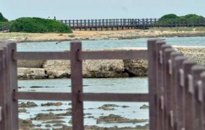 Puliamo il Mondo 2015: Legambiente al Parco Punta Penne e Punta del Serrone