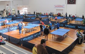 TennisTavolo Brindisi: cinque successi su cinque per la C/2, primo successo pieno per la D/2