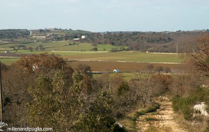 Guasto a un impianto di sollevamento idrico, possibili disagi sulla Selva di Fasano e a Laureto