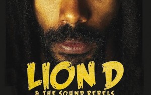 Lion D al Womb di Cavallino il 2 aprile