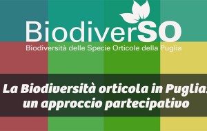 A Masseria Canali tavola rotonda sulla biodiversità orticola in puglia